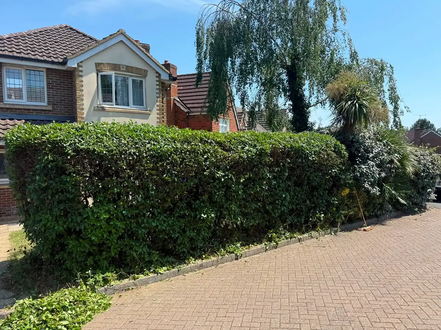 Hedge needing trimming outside a large house.