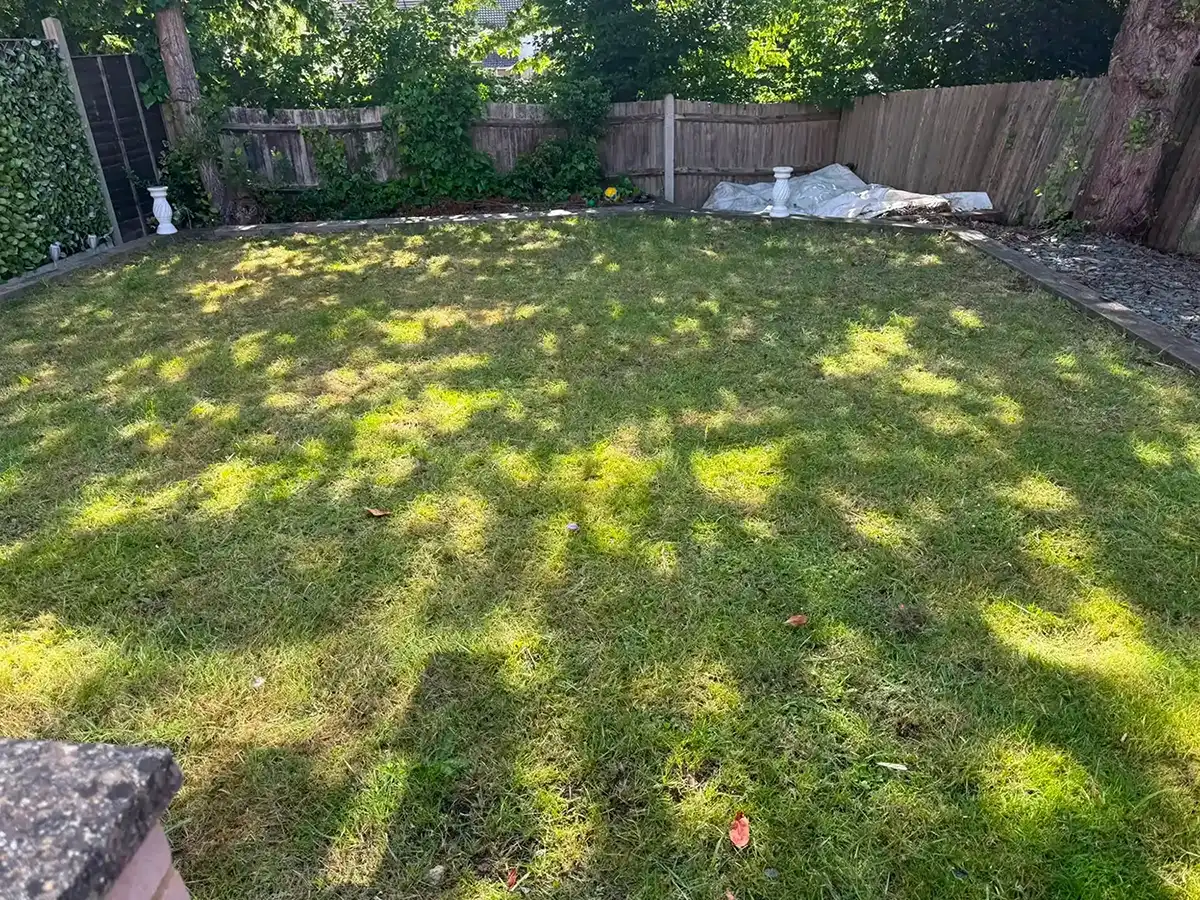 Lawn after some care and maintenance.