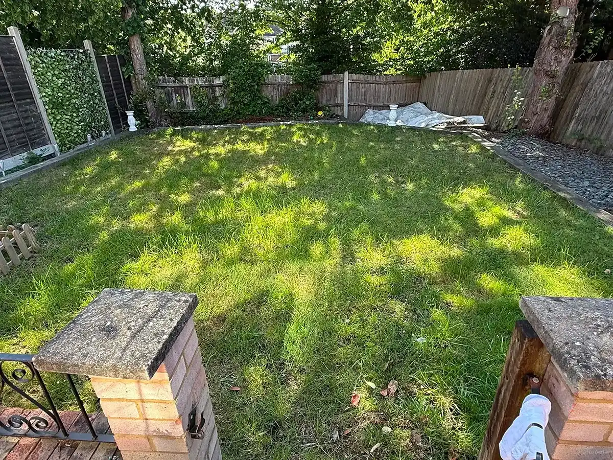 Lawn in need of some care.