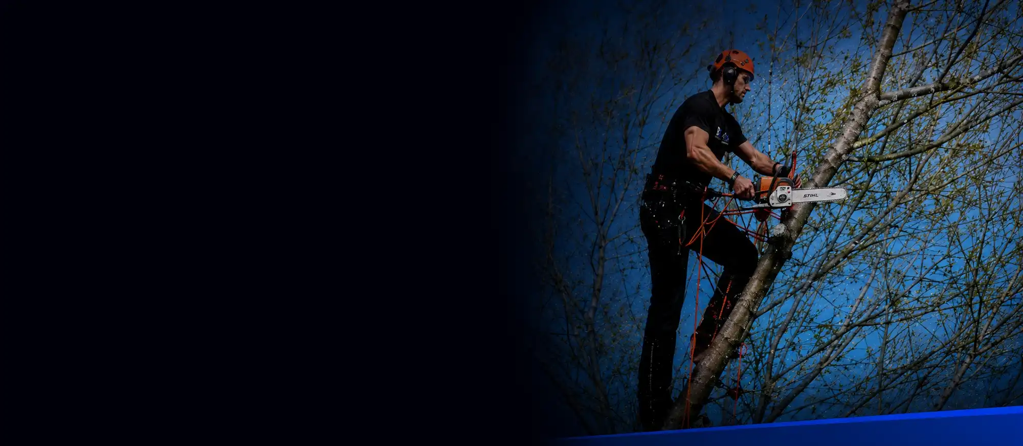 Man cutting the branches off a tree.