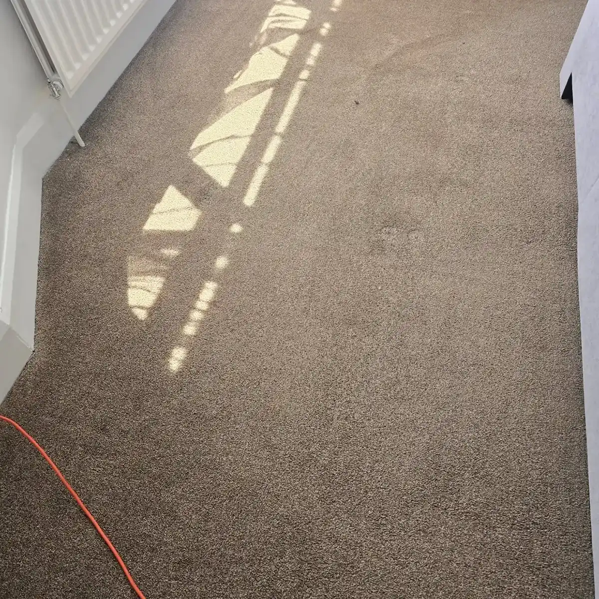 Carpet being cleaned.