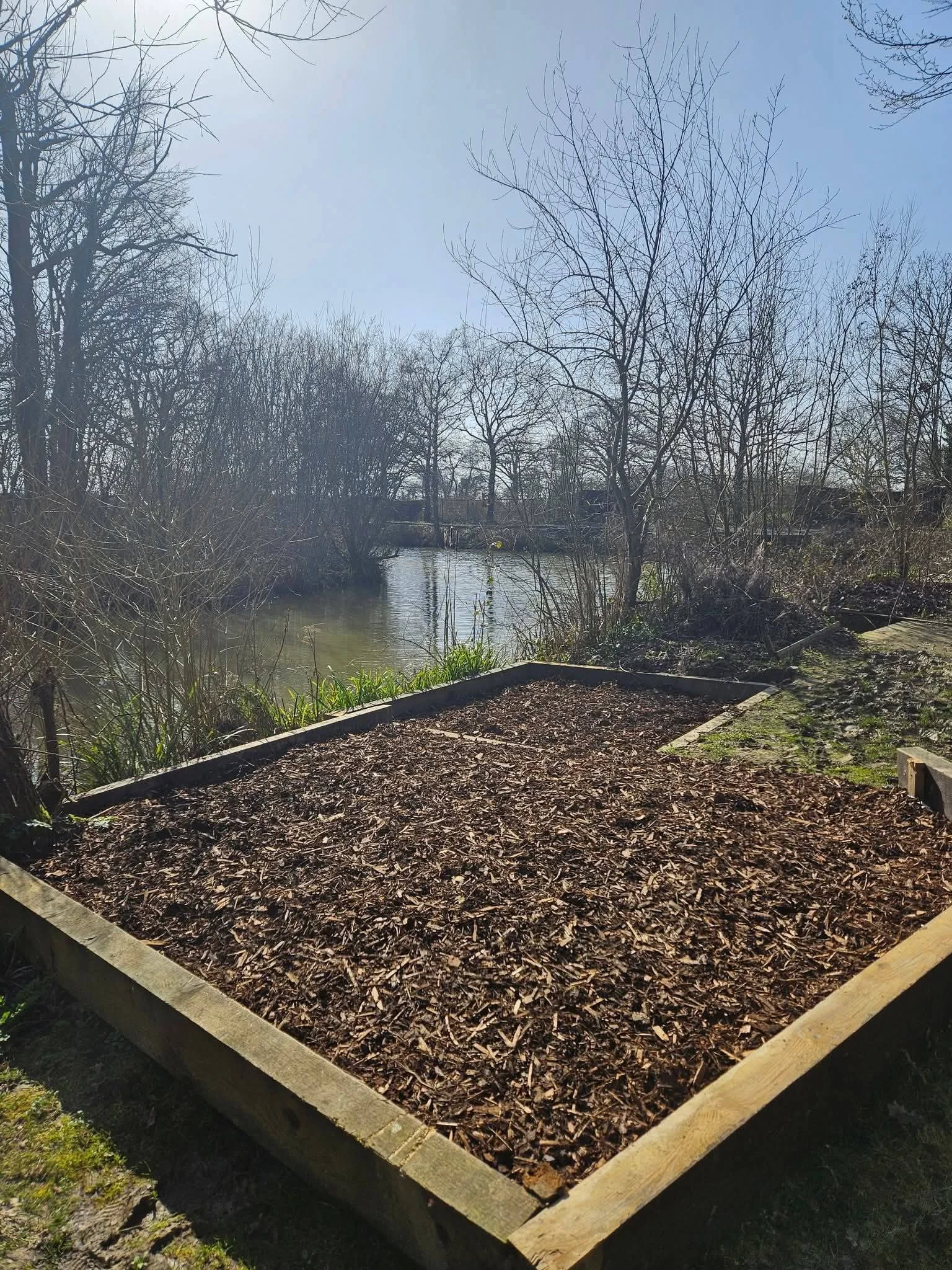 Sunny day by the lake