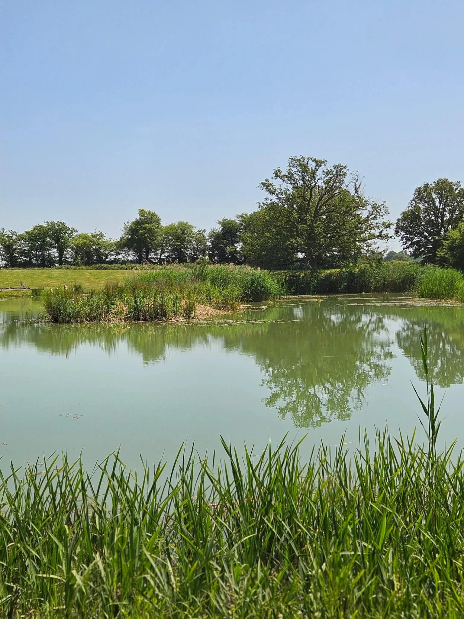 Lake during the day