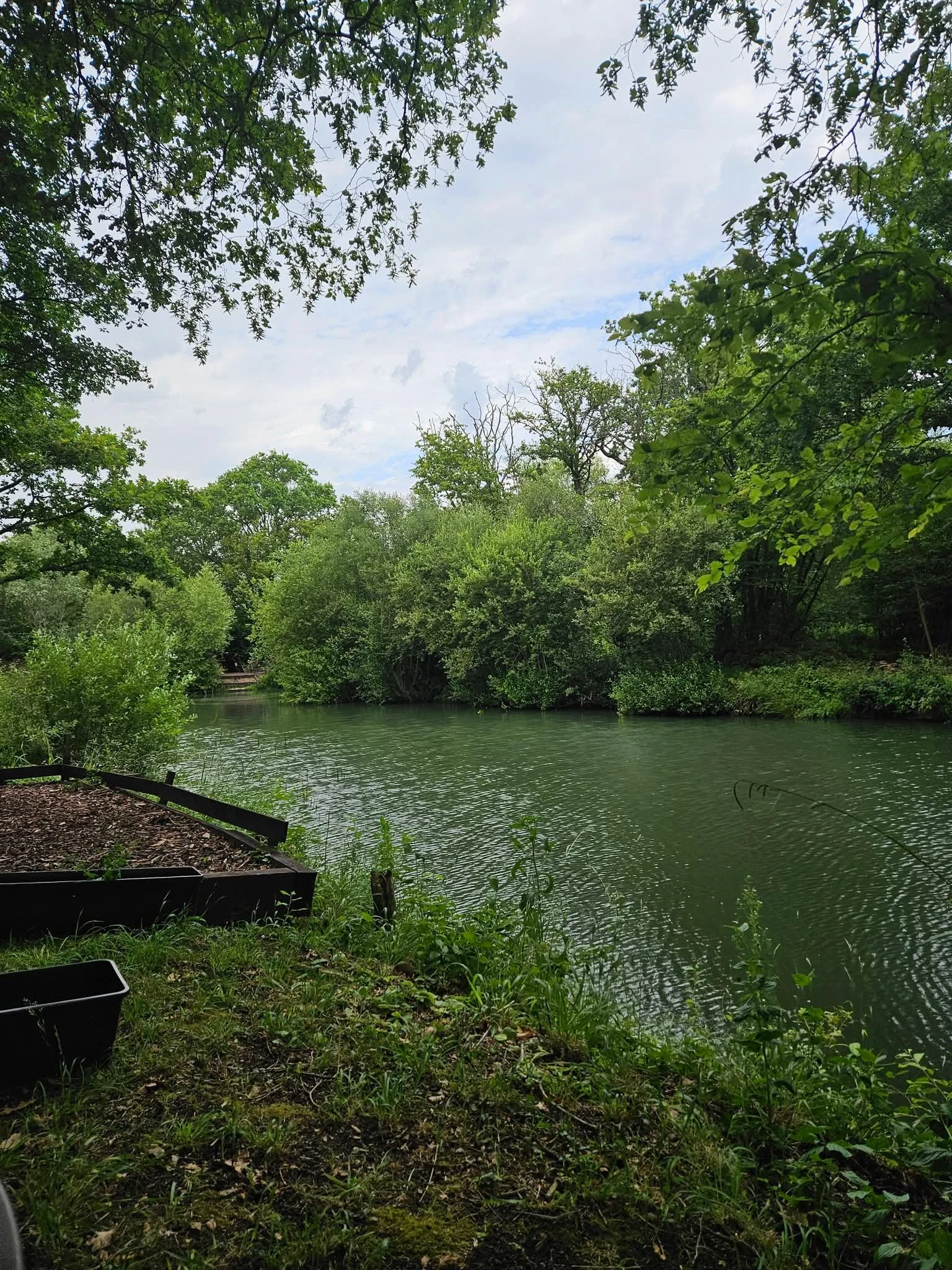Lake during the day