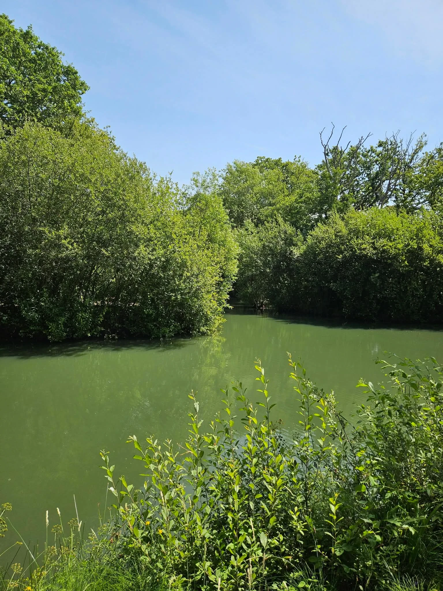 Lake during the day