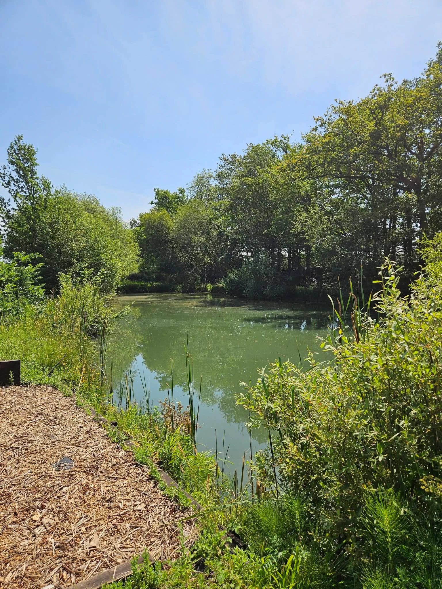 Lake during the day