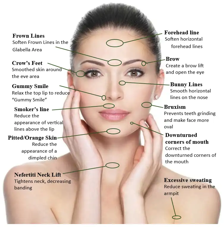 anti-wrinkle guide