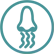 nasal icon
