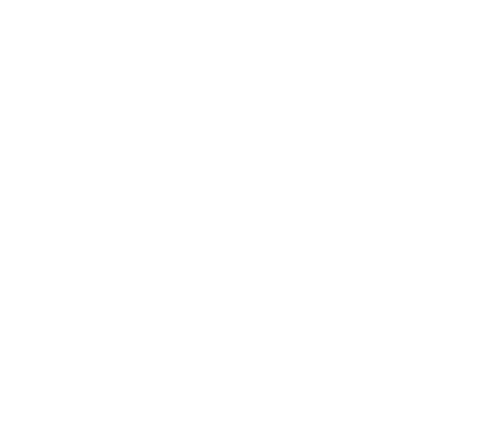 new roof icon