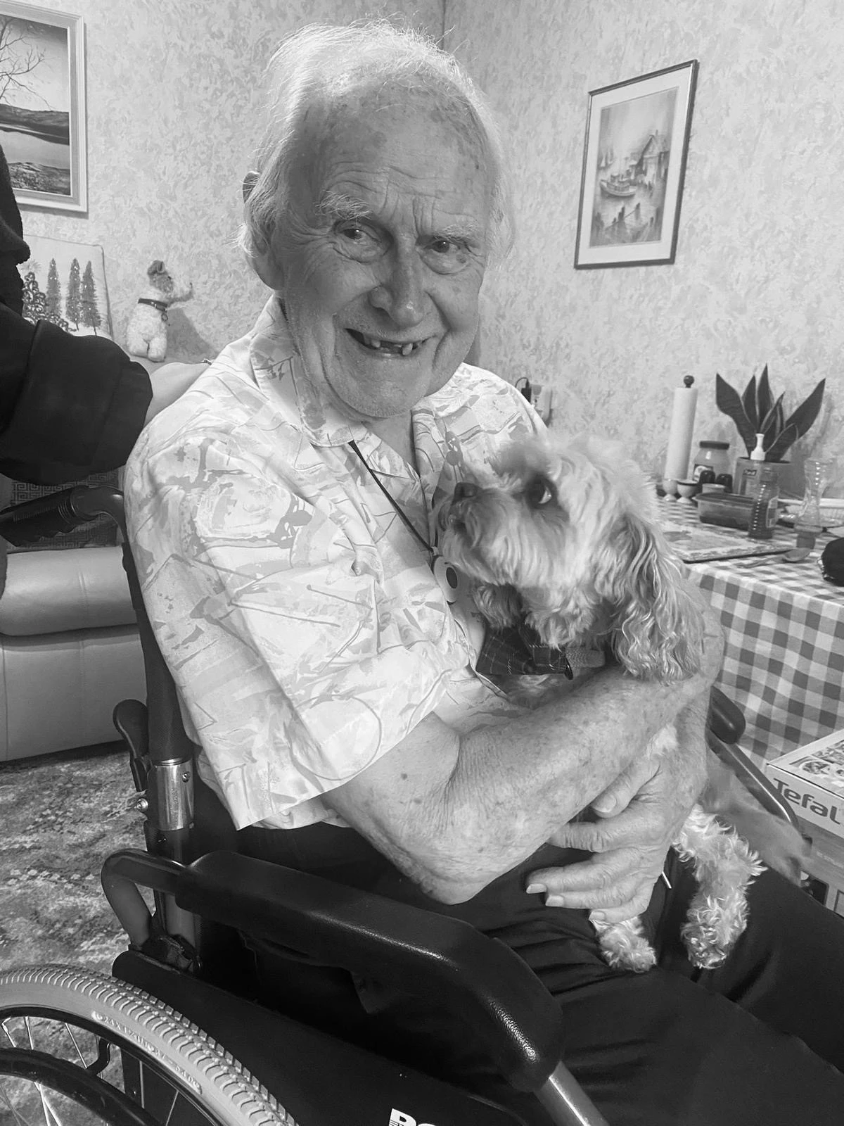 an old man in a wheelchair with a dog