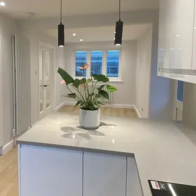 A kitchen with a plant in a pot on the counter.