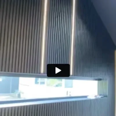 video img1