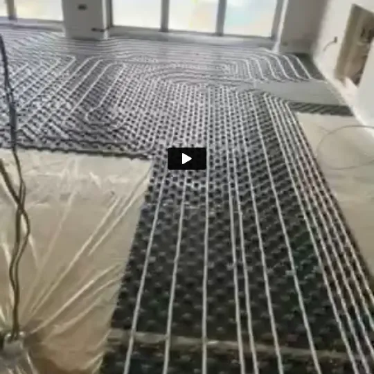 Video Image