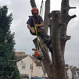 chainsaw