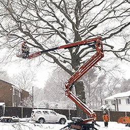 snow