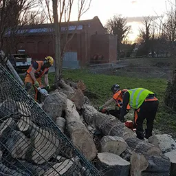 stumps