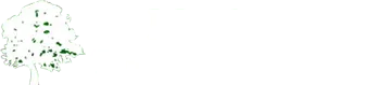 Medway Tree Surgeons Ltd
