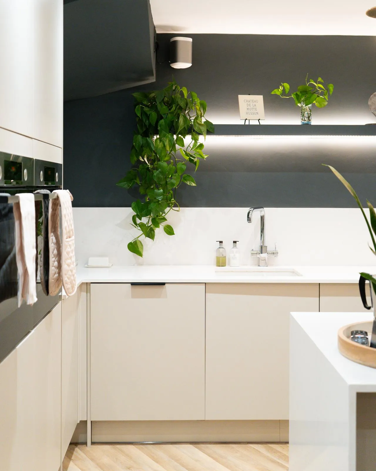 A kitchen with a potted plant on the counter.